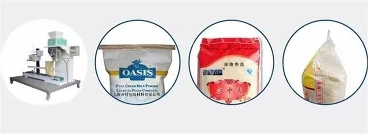 Seeds Powder Packing Machine