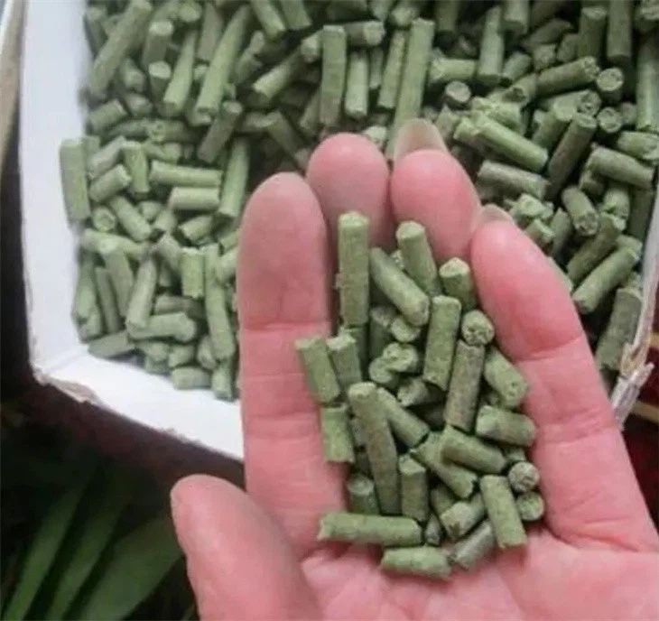 Feed Pellet Line