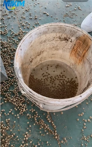 1000 kg/t våd-Type dobbelt-Skrue, flydende fiskefoderekstrudermaskinetest